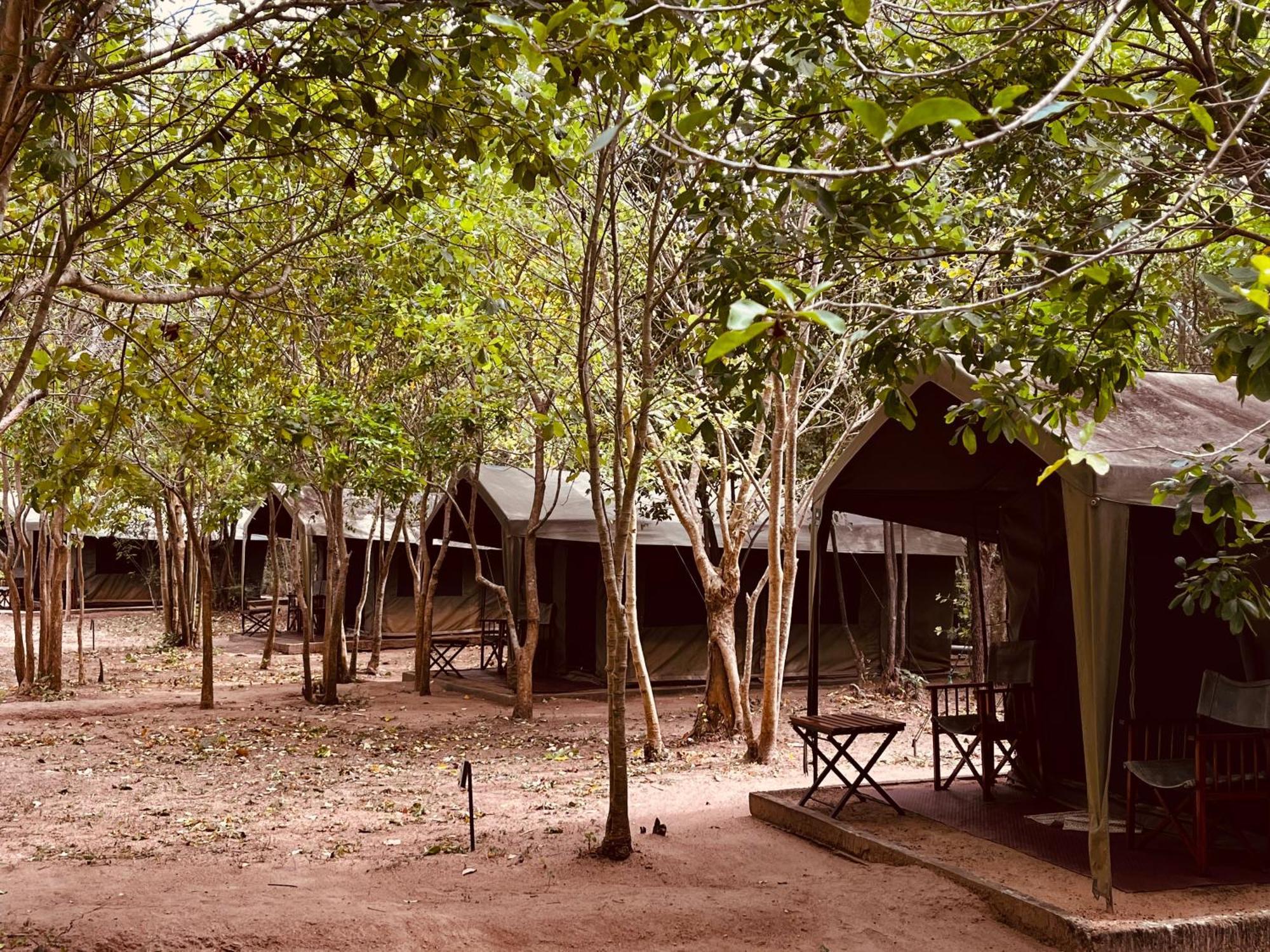 Hotel Big Game - Wilpattu By Eco Team Exterior foto